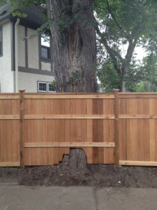 fence