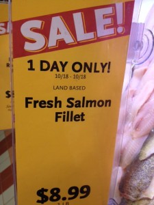 salmon