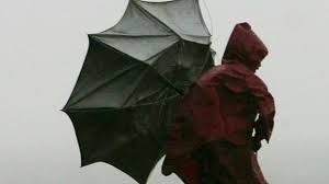 umbrella